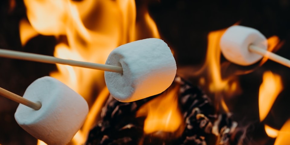 Marsh Mallows cooking on a camp fire